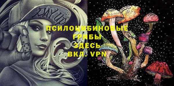 прущие грибы Алексеевка