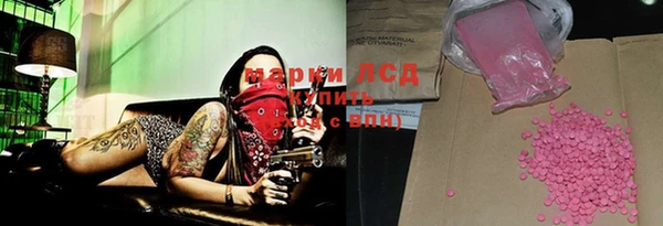 прущие грибы Алексеевка