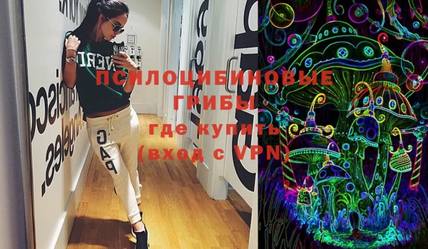 прущие грибы Алексеевка