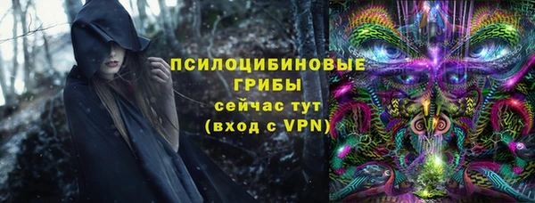 прущие грибы Алексеевка